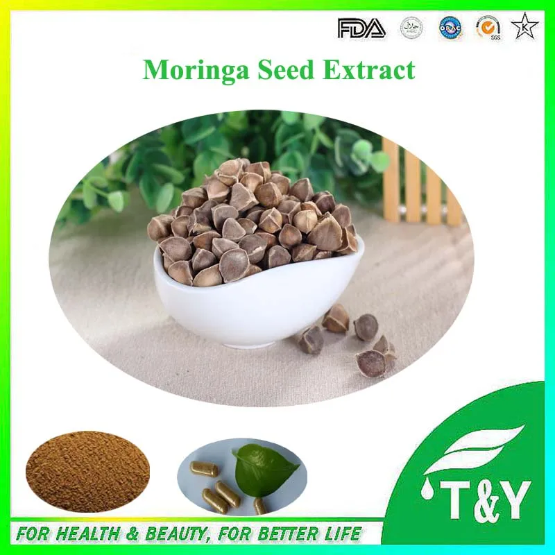Compra Aceite de semilla de moringa online al por mayor de Compra Aceite de semilla de moringa online al por mayor de