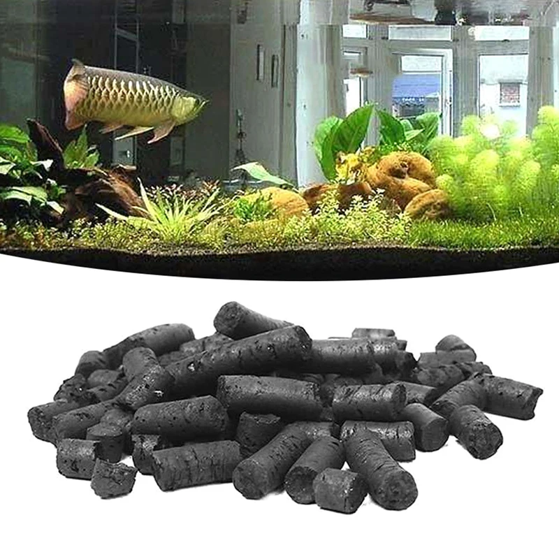 pond aquarium