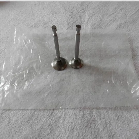 IN&EX VALVE SET ROBIN EY20 4