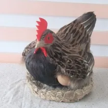 Перо курица искусство отделки перьями украшения derlook фотография Реквизит модель