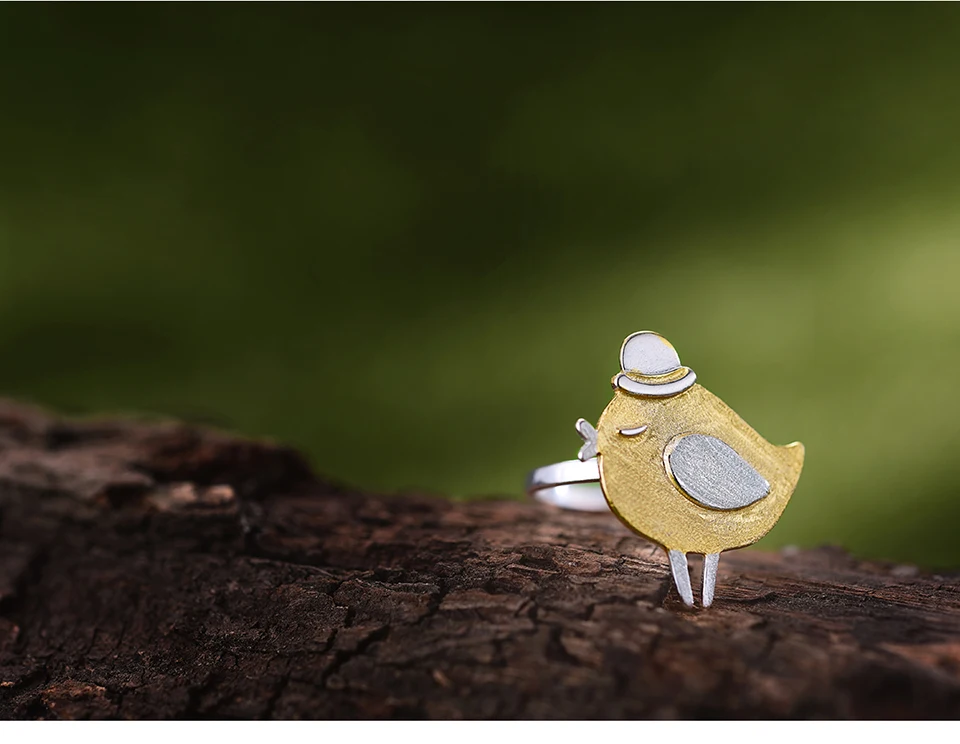 LFJD0084-Cute-Gentleman-Bird_12