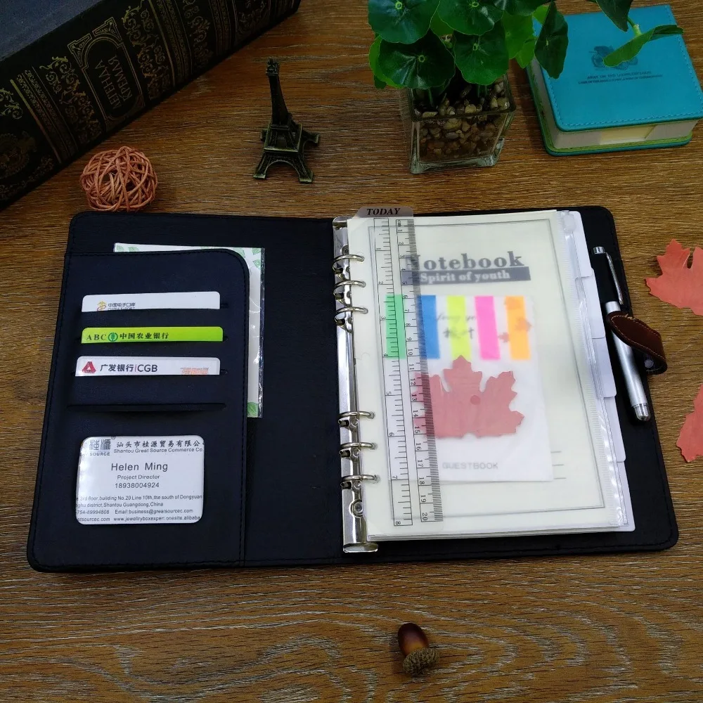 Ring binder folder
