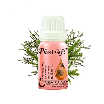 

100% Pure Plant Essential Oil Pine Needles Oil 10ml Antibacterial Improve Bronchial Laryngitis