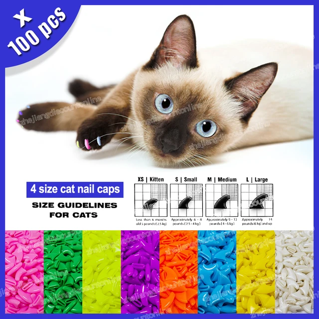 Amazon.com : VICTHY 100pcs Cat Nail Caps with Clipper Set, Pet Cat Nail  Clipper Cat Soft Claws Nail Covers for Cat Claws with Adhesive and  Applicators SIZE SMALL (5 COLORS) : Pet Supplies