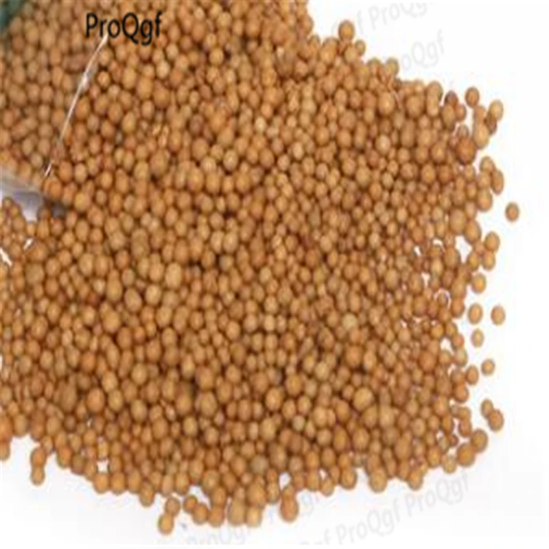 

500Pcs A Set Aquatic Plant Water Root Fertilizer