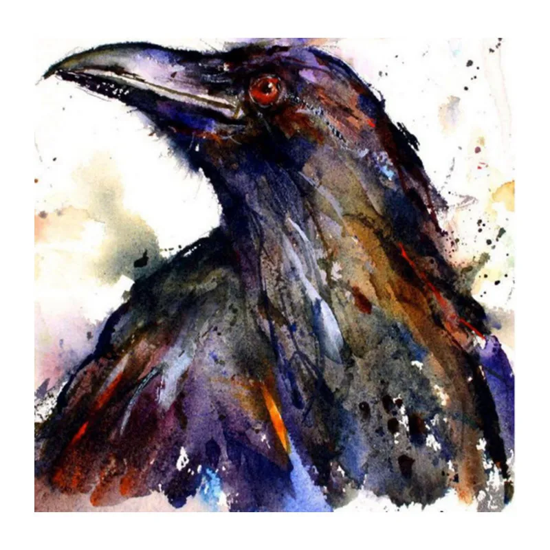 5d diy full square Diamond Painting Embroidery Round Art colorful crow raven Animals Sticker Mosaic Picture Decoration