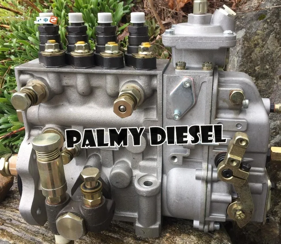 new fuel pump P7100 .RSV governor on RIGHT SIDE . 13mm plunger with