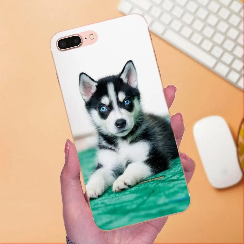 Мягкий художественный чехол для Xiaomi Redmi Note 2 3 3S 4 4A 4X 5 5A 6 6A Pro Plus Husky Dog