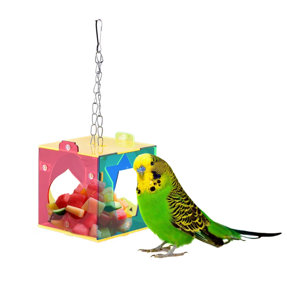 Buy Parrot feed device educational toys cockatiel