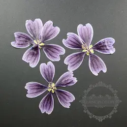 5-7 см сухой нажатии фиолетовый цветок сделай сам материал для стеклянный купол поставки смолы 10 шт. каждый пакет 1503140