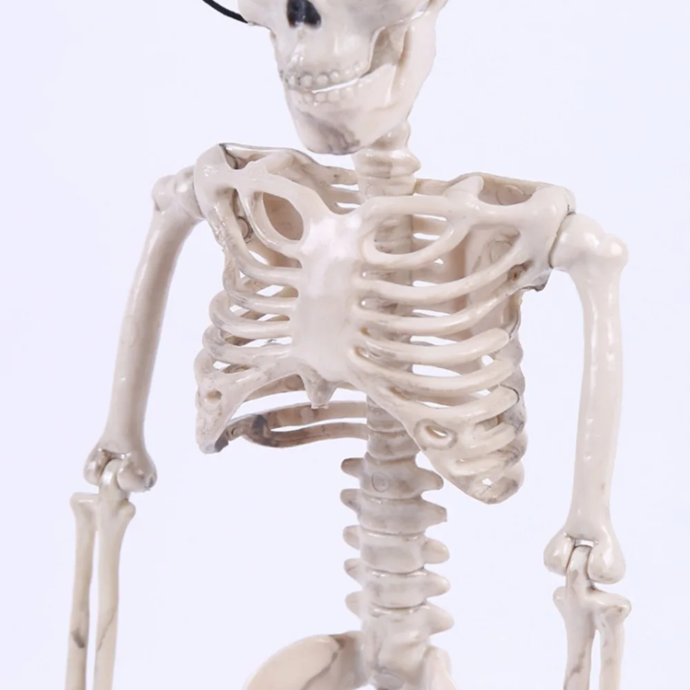 Новинка крутой Скелет мистер Невеста человеческая модель череп тело фигура игрушка Хэллоуин