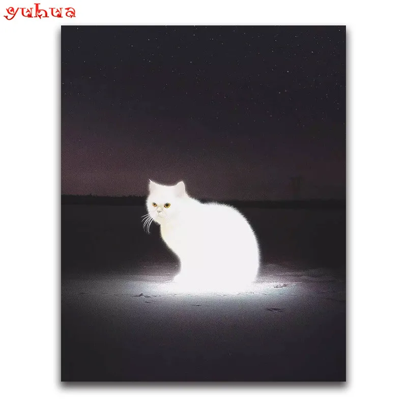 Full Square Diamond embroidery colorful Round Diamond mosaic dierlijk Art 5D DIY Diamond painting Cross stitch Animal Cat_