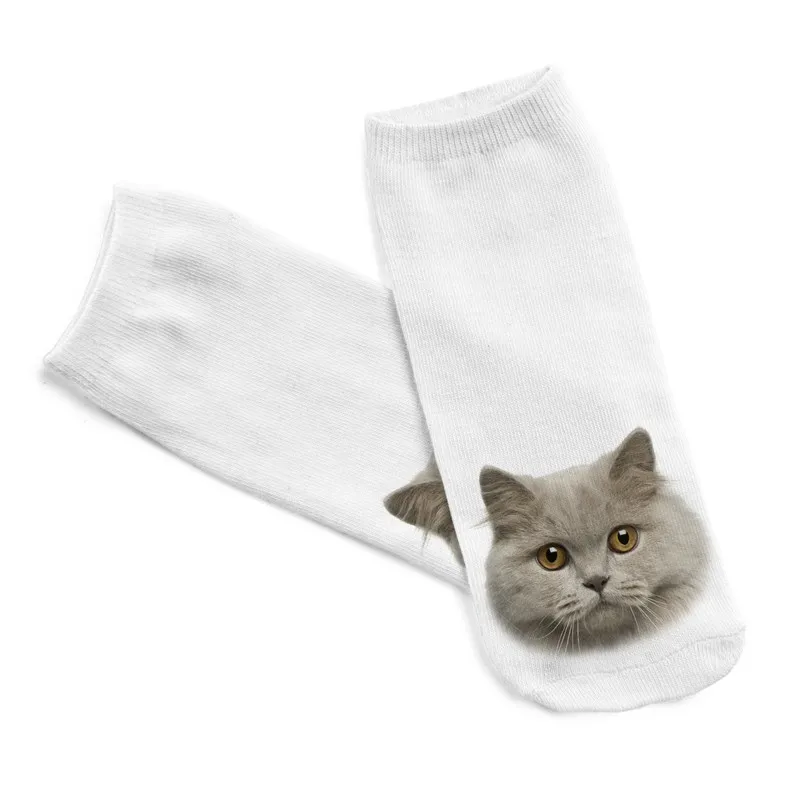 3da7b142c1a239142f51326fa75ed1583823c2fa5202475cc9f730f810