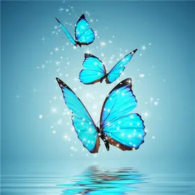 Animal-Needlework-5D-Diy-Diamond-Painting-Cross-Stitch-Butterfly-Painting-Diamond-Embroidery-Full-Square-Diamond-Mosaic.jpg_640x640_