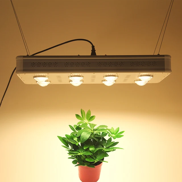$US $619.85 640W LED Grow Light 3000K COB Full Spectrum including UV IR Daisy Chain For Indoor Hydroponics Plants