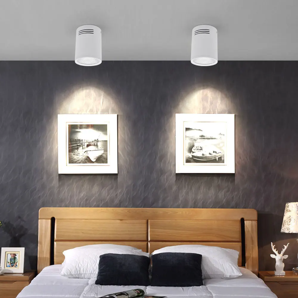 surface mounted downlights  (60)