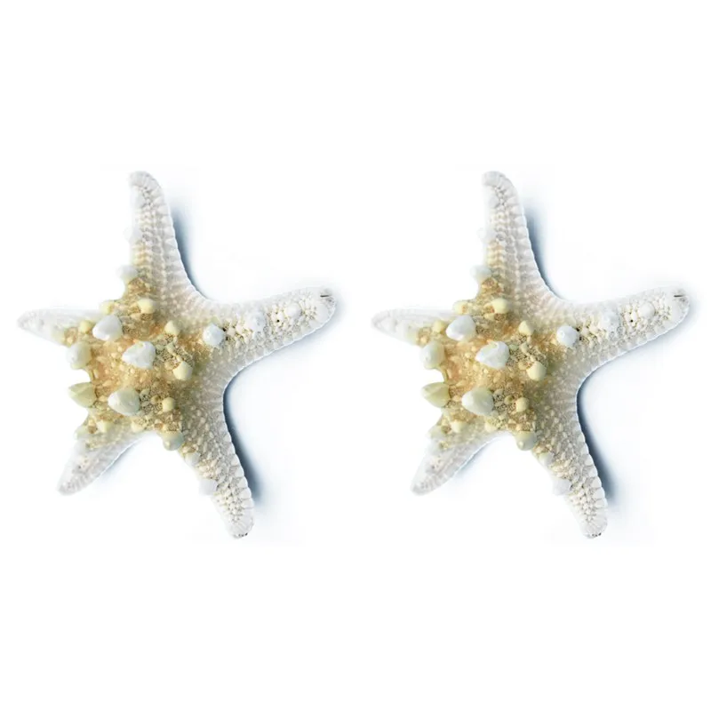 

2pcs Natural Starfish Sea Star shell Making DIY Craft Decor