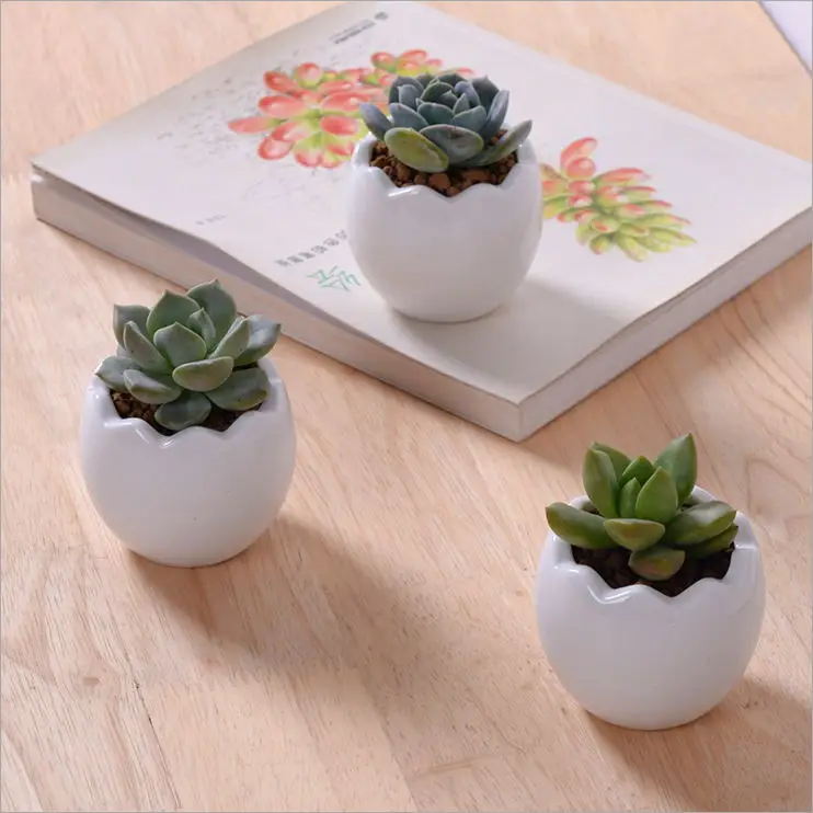 Силиконовая форма для вазы Новая креативная мясных растений Настольная мини яиц