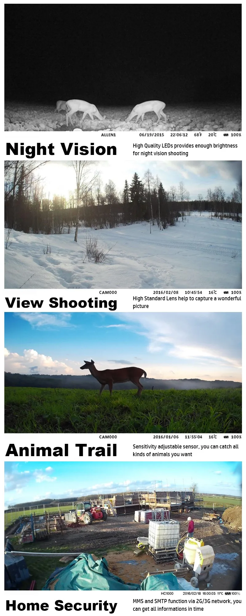 Hunting camera (31)