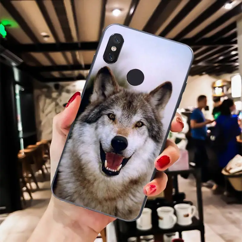 angry Animal wolf Face Pattern