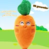 Pet Products