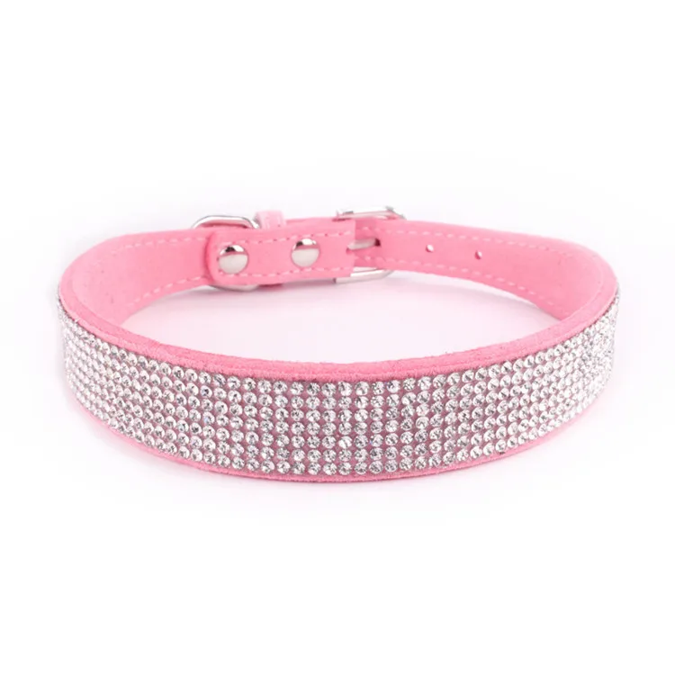dogs collar (3)