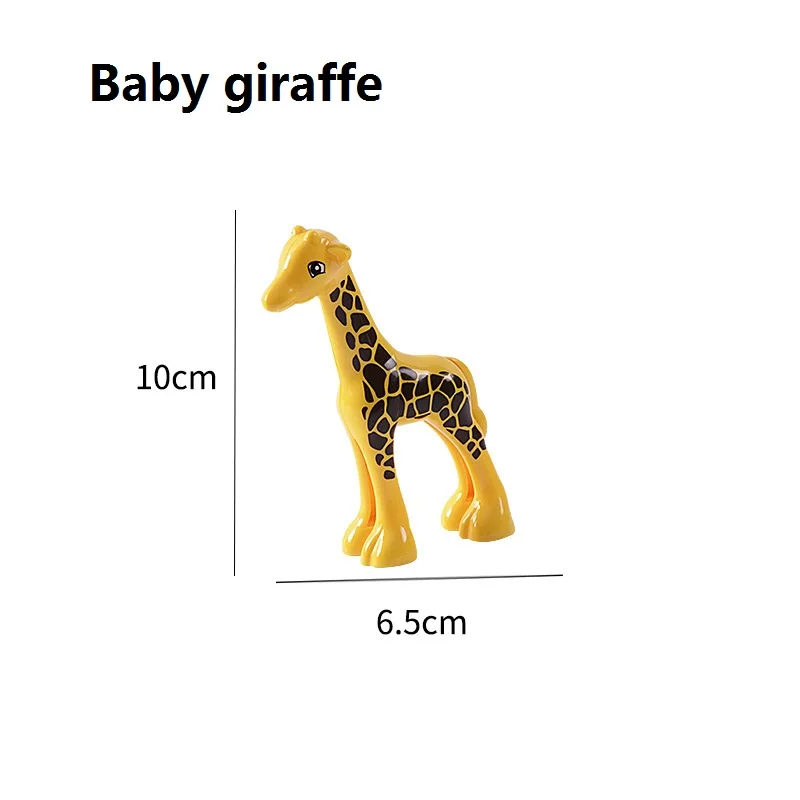 Baby giraffe