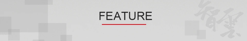 FEATURE