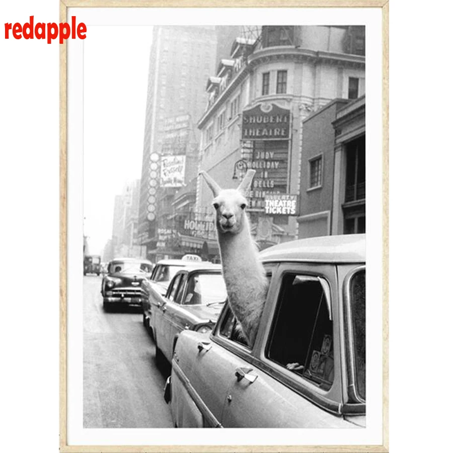 

5d Diy Diamond Painting Diamond Pattern Beadwork Pictures Needlework Llama in a taxi on Times full Square Diamond Mosaic Craft