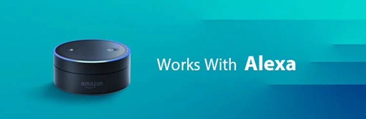 Alexa-1-750