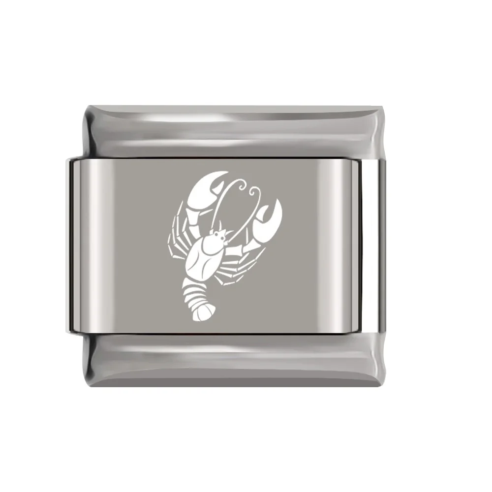 Cancer Fyour 1Pcs 9mm Width Original Daisy 12 Constellation Charm Fit 9mm Bracelet Silver Stainless Steel Jewelry Making DJ154 - Окраска металла: Cancer