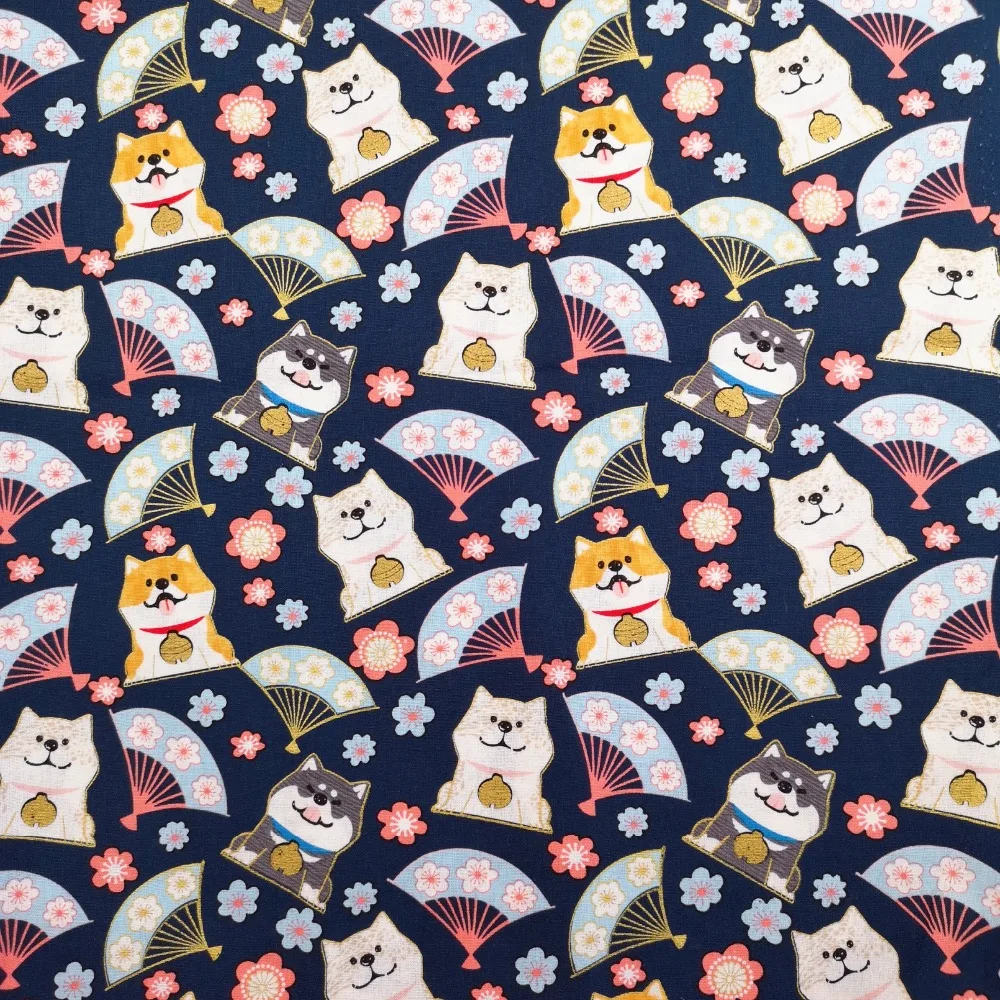 B612Kaji_20190121_140714_818