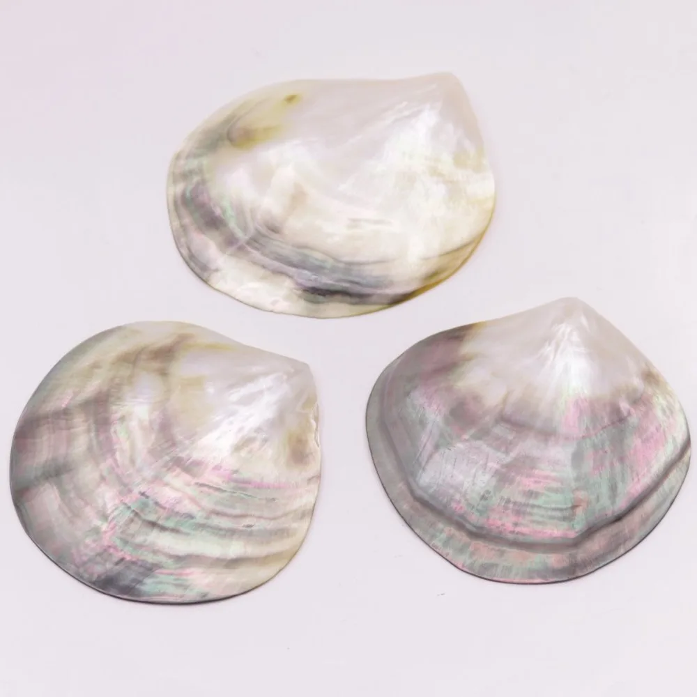 3 PCS 70mm-80mm Fan Shape Shell Natural Mother of Pearl No Hole Jewelry Making 
