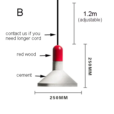 option (1)