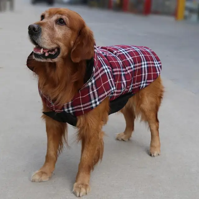 4 Colors 2015 Dog Jacket Designer Warm Plaid Winter Dog Coats Pet