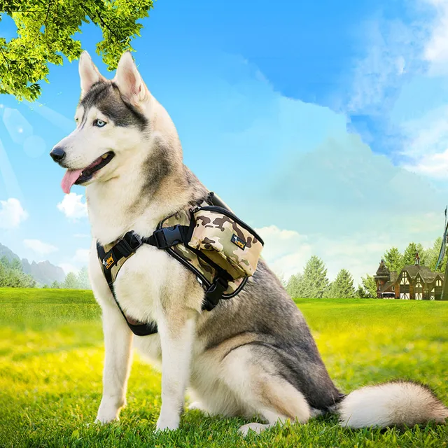 Functional Pet Dog Saddle Bag Harness and Lead Outdoor Backpack Pet Dog Carrier Bag for Medium Large Dog Accessories