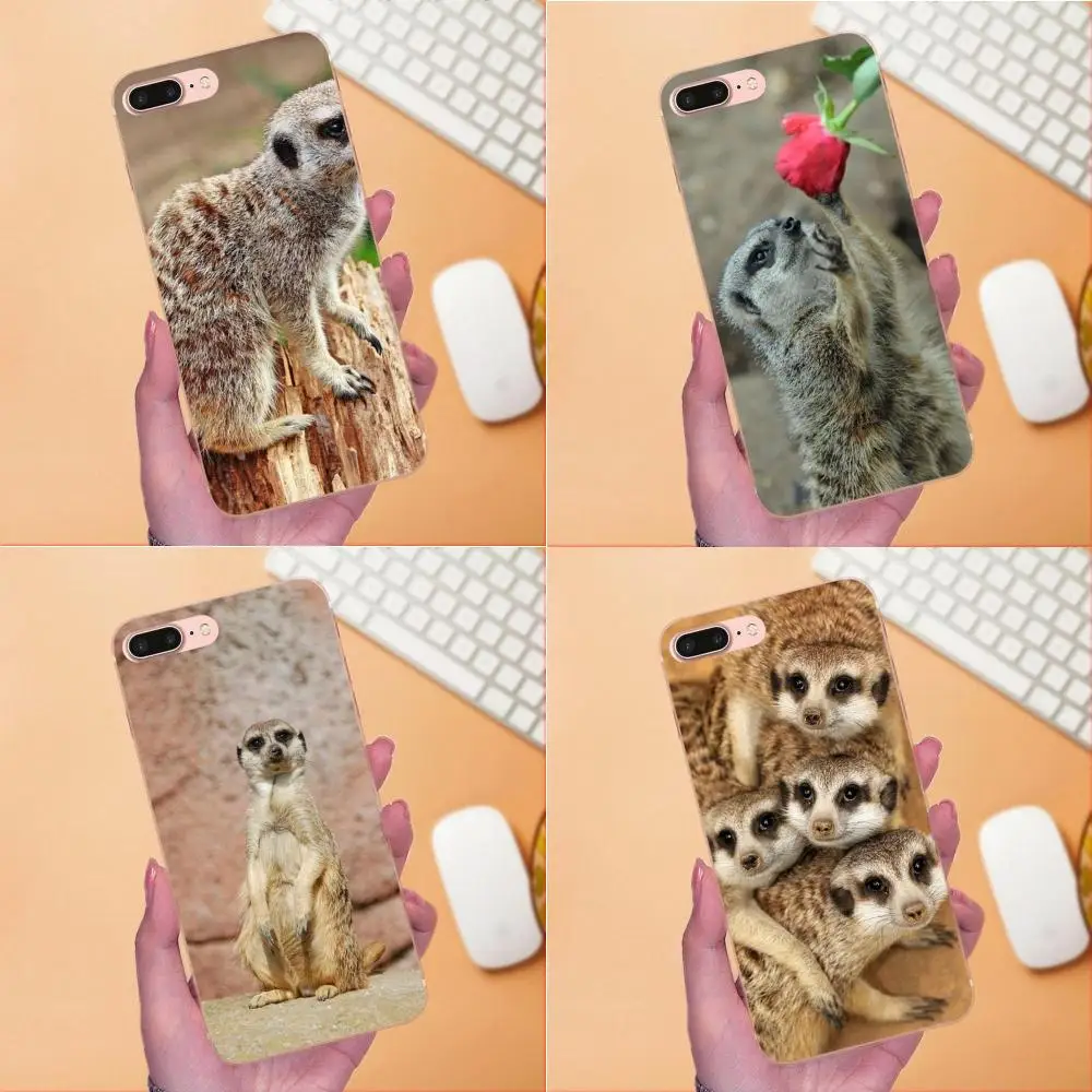 Мягкий ТПУ крутой лучший для Apple iPhone 4 4S 5 5C 5S SE 6 6S 7 8 Plus X XS Max XR Animal Mob Of Meerkats |