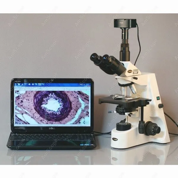 Infinity Compound Microscope-AmScope Supplies 40X-2500X Infinity Compound Microscope+ 10MP Camera Win7& Mac OS
