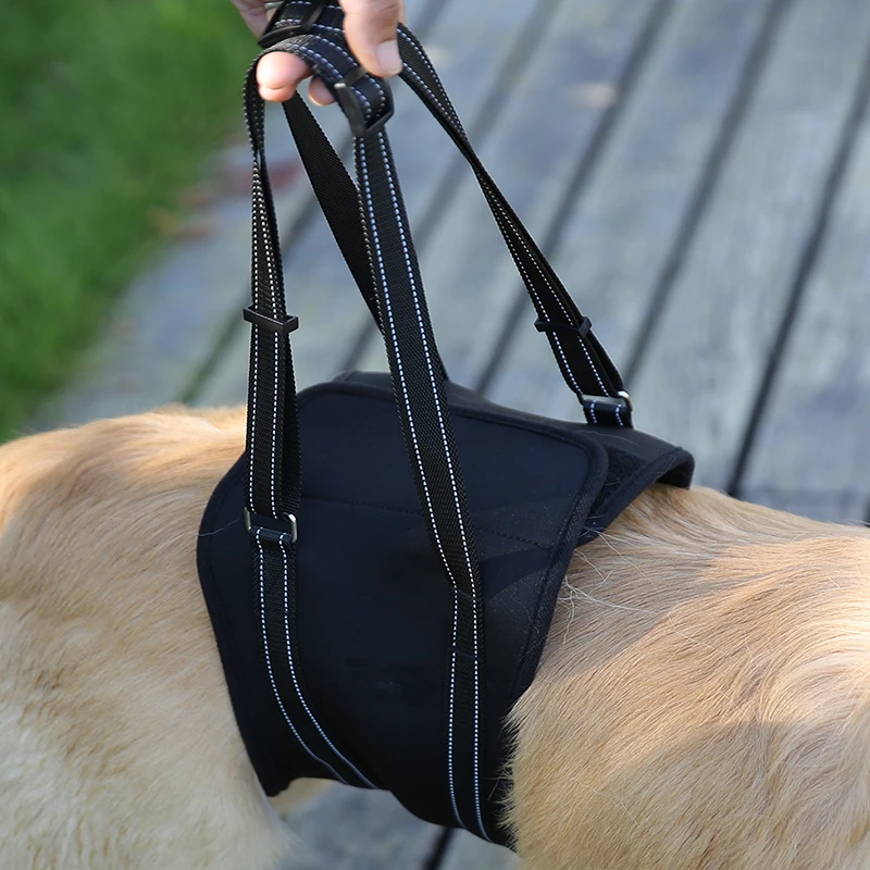 Harnais De Levage Reflechissant Pour Chien Ganyue Harnais De Soutien Pour Chien De Taille Moyenne Reglable Rembourre Doux Pour Les Vieux Chiens Blesses Avec Poignee Aliexpress