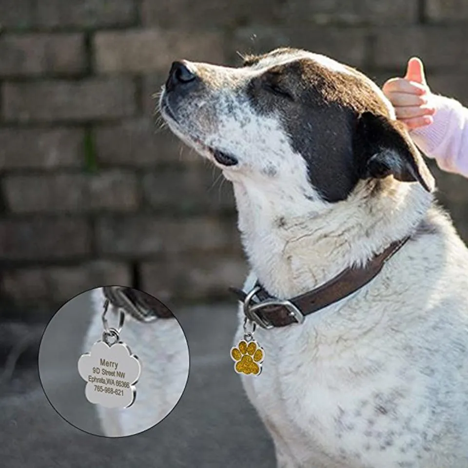mini dog tags for pets