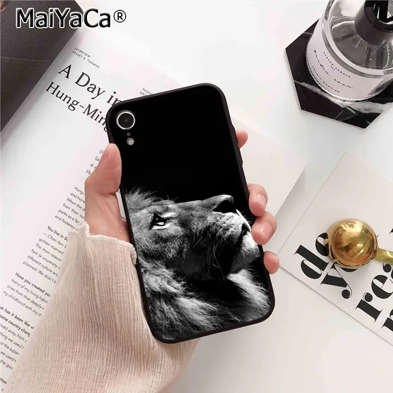 Animals Lion Wolf Owl Elephant Lion Tiger