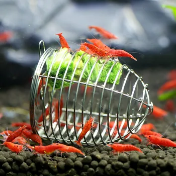 

Aquarium Crystal Shrimp Small Bait Cage Feeder Dry Spinach Feeding Stainless Steel Cage Basket Ornamental Shrimp Feeding Tool
