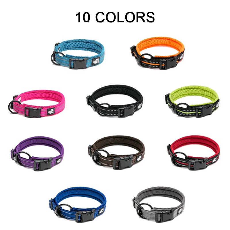 Weiches Nylon-Hundehalsband – Verstellbar, Mit Sicherheitsschnalle, Für Kleine Hunde, Welpen & Katzen (Größe S)