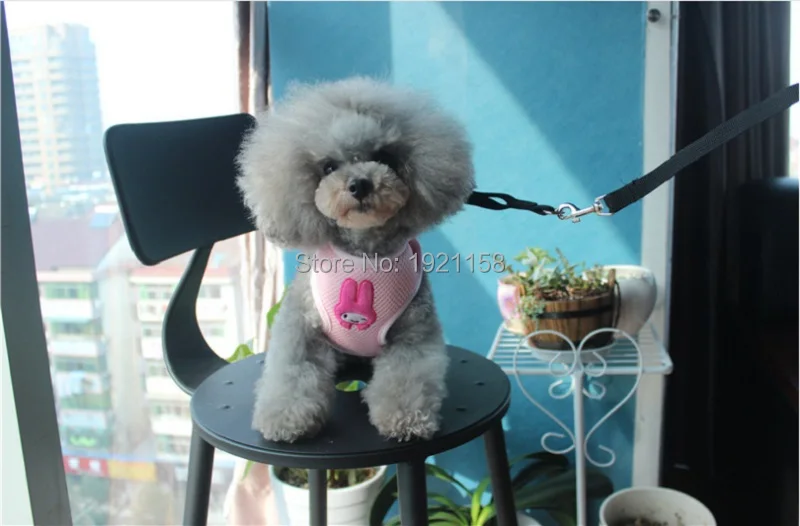 B15_2016_Pet_Dog_Vest_Harness_Collars_Mesh_Breathable_Puppy_dog_Cat_Leash_Adjustable_Chest_Braces_leads_Clothes_Teddy_Chuhuahua_5