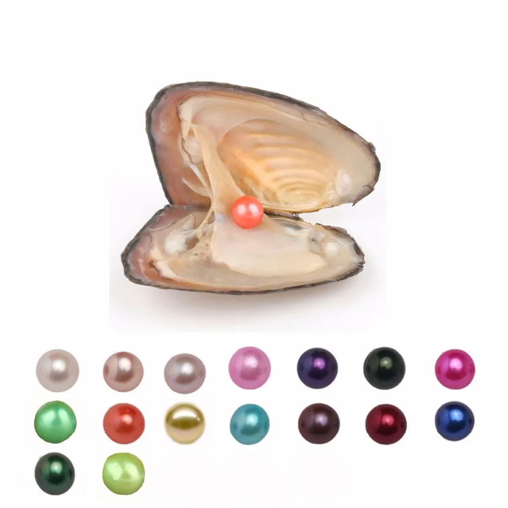 Do all oysters have pearls