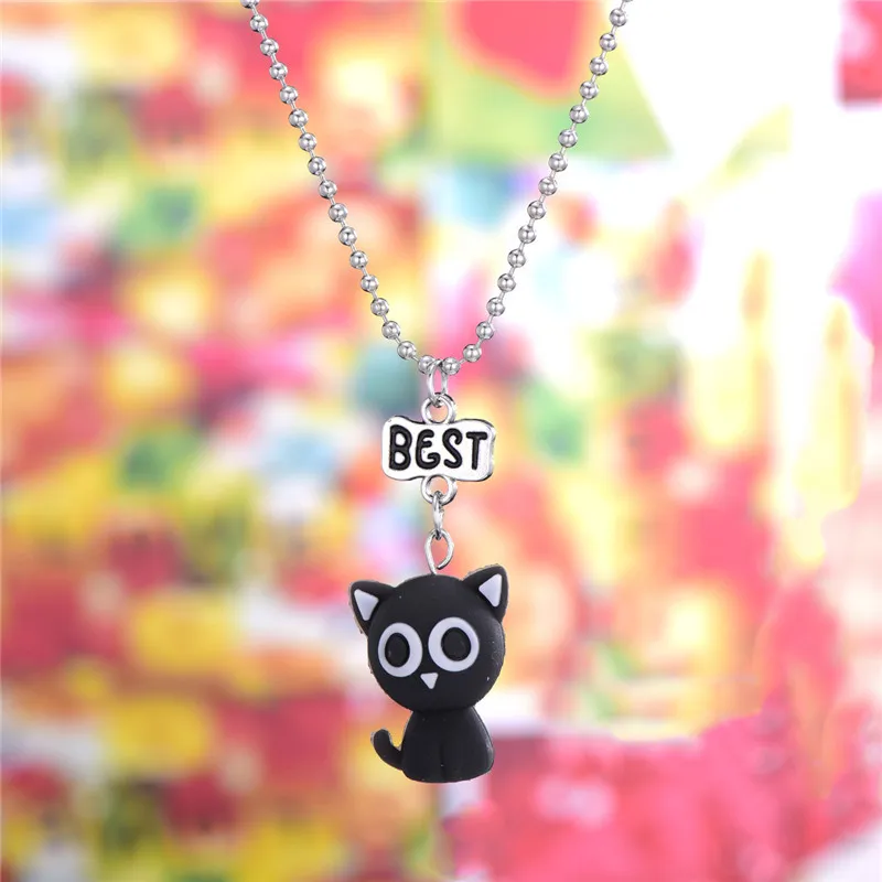 10754047449_354902198