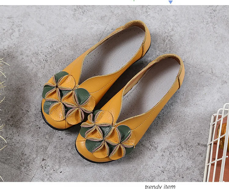 750 (37)