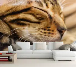Пользовательские обои для стен 3d, Кошки мини-морда сна усы животных обои, Гостиной диван тв стены спальне papel де parede