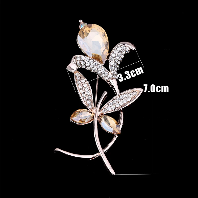 WC7A6756size