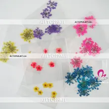 Смешивать стили Дизайн ногтей сушеные цветы для украшения ногтей 300 упаковок/партия